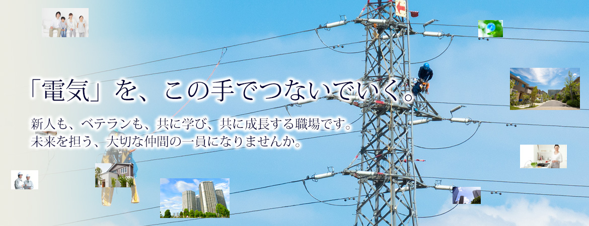 採用情報